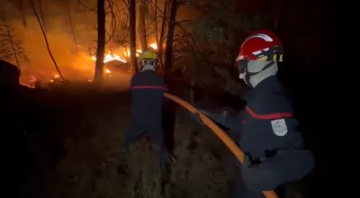 Incendie exceptionnel à Fontainebleau : 800 hectares déjà ravagés