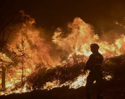 Risque extrême d’incendie dans le Var : la majorité des massifs fermés