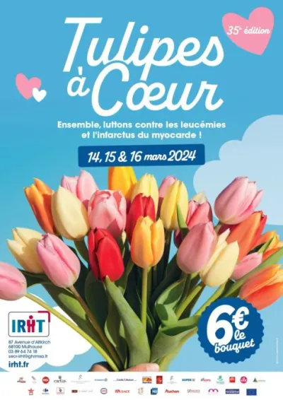 Tulipes à Cœur