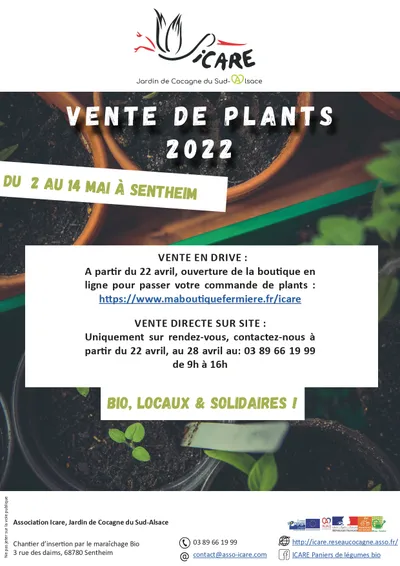 Vente de Plants