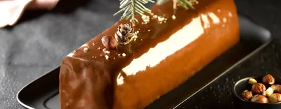 Bûche glacée vanille