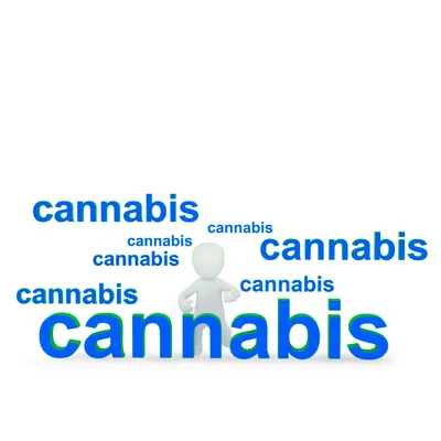 21/12/22 : PACA:  l'un des territoires français où l'on consomme le plus souvent du cannabis