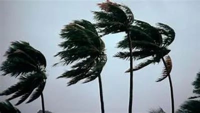 17/01/24 : Cyclone Belal : deux nouvelles victimes retrouvées