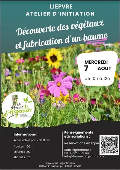 Fabrication d'un baume 