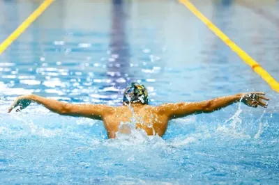 Natation aux JO 2024