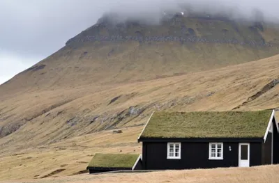 Îles Féroé : les toits végétalisés, une réponse face au changement climatique
