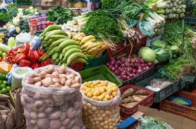 Coopératives alimentaires : quel en est l'intérêt ?