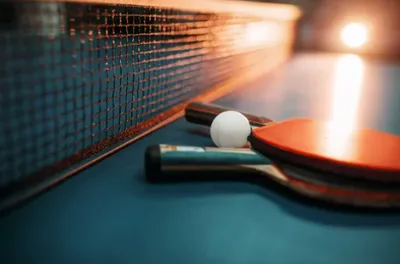 Tennis de table 