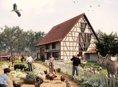 Parc Animalier de Sainte-Croix