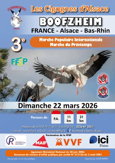 Les cigognes d'Alsace