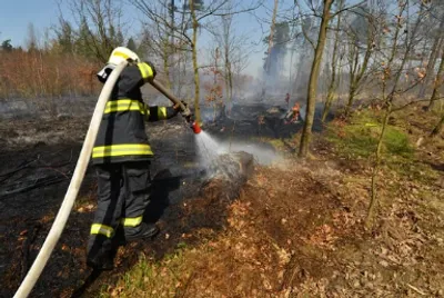 exercice feu de foret 