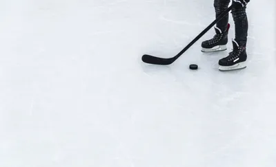 Les Scorpions de Mulhouse, c'est une nouvelle fois terminé