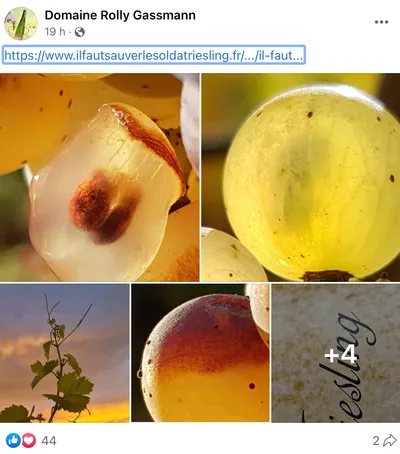 Une pétition pour ''Sauver le Soldat Riesling''