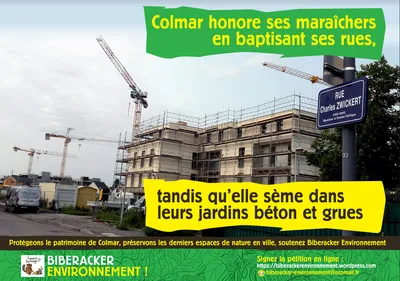 Colmar est une ville maraîchère