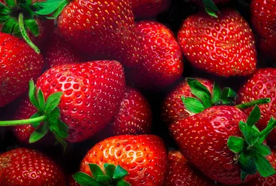 La saison des fraises