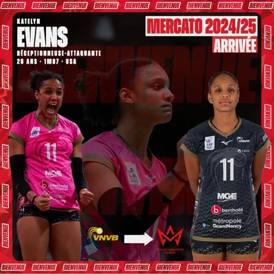 Mercato Volley Mulhouse Alsace