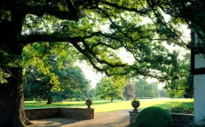La fête des plantes au parc de Schoppenwihr