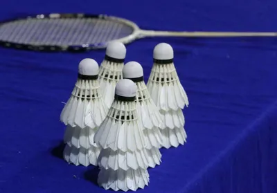 Badminton