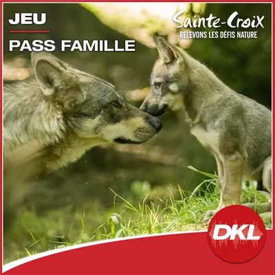 DKL - S52 Pass Famille SAINTE CROIX