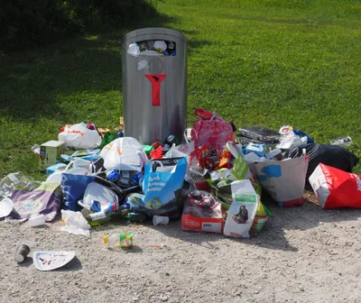 Déchets rue poubelle PxHere