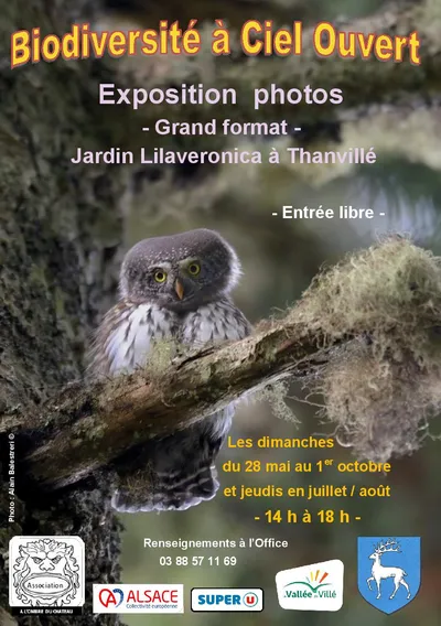  La Biodiversité à ciel ouvert