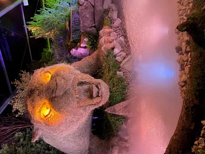 Les Journées d'Octobre signent une belle affluence ce week-end !