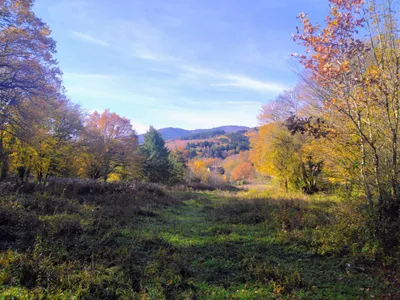 Sentier Géologique de Sentheim, dimanche 05 avril !