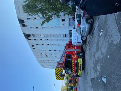 Incendie criminel des Moulins à Nice : un organisateur présumé du commando en garde à vue