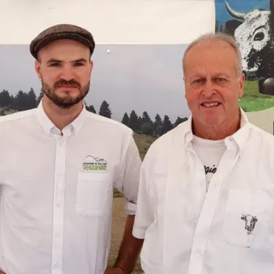 Transhumance vaches Mulhouse