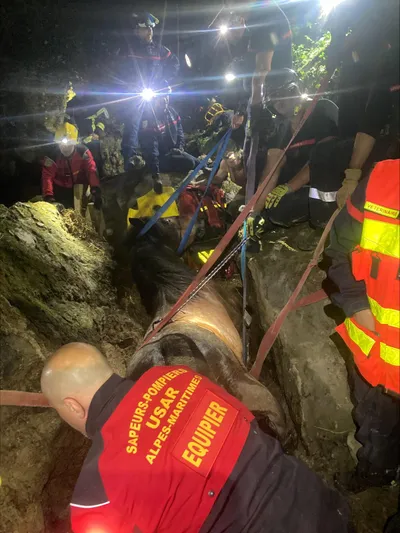 La Bollène-Vésubie : la jument piégée dans un vallon n’a pas survécu