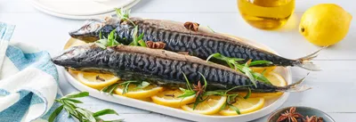 Maquereaux grillés à l’estragon