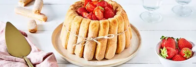 Charlotte aux fraises