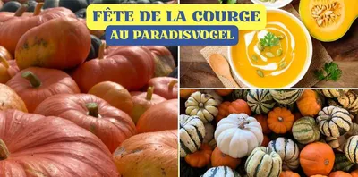 Fête de la courge