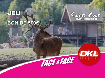 SLIDER FACE À FACE DKL - S39 & S40 - Parc Sainte-Croix bon de 500€