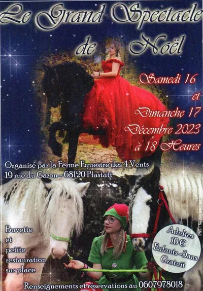 Le Grand Spectacle de Noël 