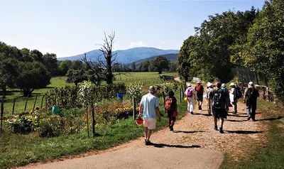 Balade à remonter le temps sur le sentier géologique de Sentheim
