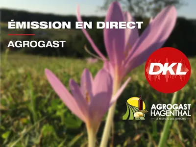 Slider DKL - Agrogast