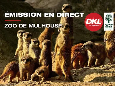 Slider DKL - Emission en direct - Zoo de Mulhouse