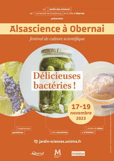 Alsacience, le festival de culture scientifique à Obernai, "Délicieuses bactéries”