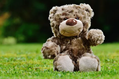 Collecte de jouets et Forum de la Défense : deux rendez-vous avec AGIS06 Cap Jeunesse à Nice