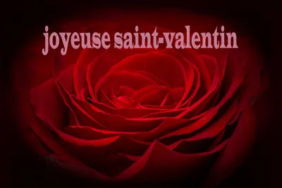 SAINT VALENTIN : Les plus belles histoires d'amour sur CANNES RADIO