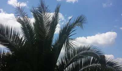 22/02/23 : Sécheresse en France