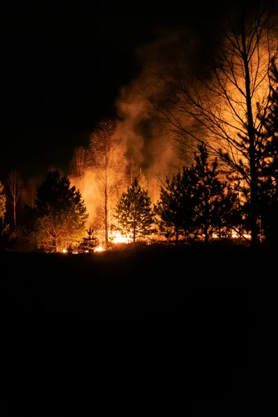 Incendie dans le Var : 1 250 hectares parcourus, 2 500 habitants évacués, 1 500 pompiers mobilisés