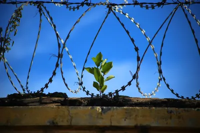 Gérald Darmanin valide l’extension de la prison de Grasse