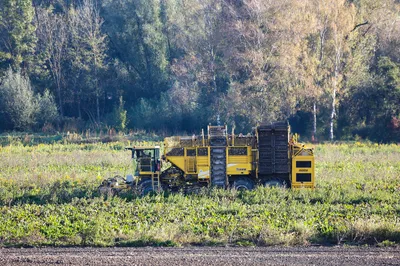 Le Parlement a définitivement adopté hier la proposition de loi Duplomb