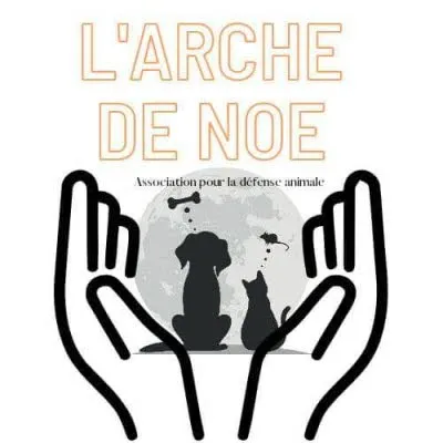 Marché aux puces de printemps