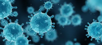 virus