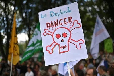 Le possible retour des néonicotinoïdes dans l'agriculture française divise à nouveau en Alsace