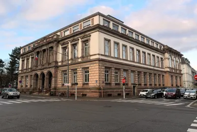 Mulhouse : un homme condamné à trois mois de prison avec sursis pour un salut nazi