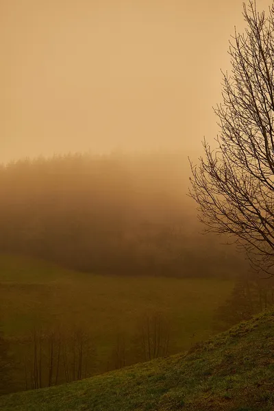 Tempête de sable venue du Sahara : vers un nouvel épisode attendu prochainement ?